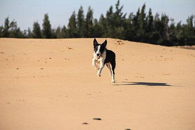 外媒称需要更多像《无名九使》这类游戏 角色丑也没事